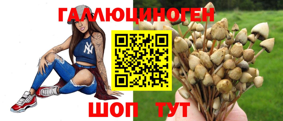 Псилоцибиновые грибы Psilocybine cubensis  Вход с VPN  Галлюциногенные грибы мицелий  Кашира 